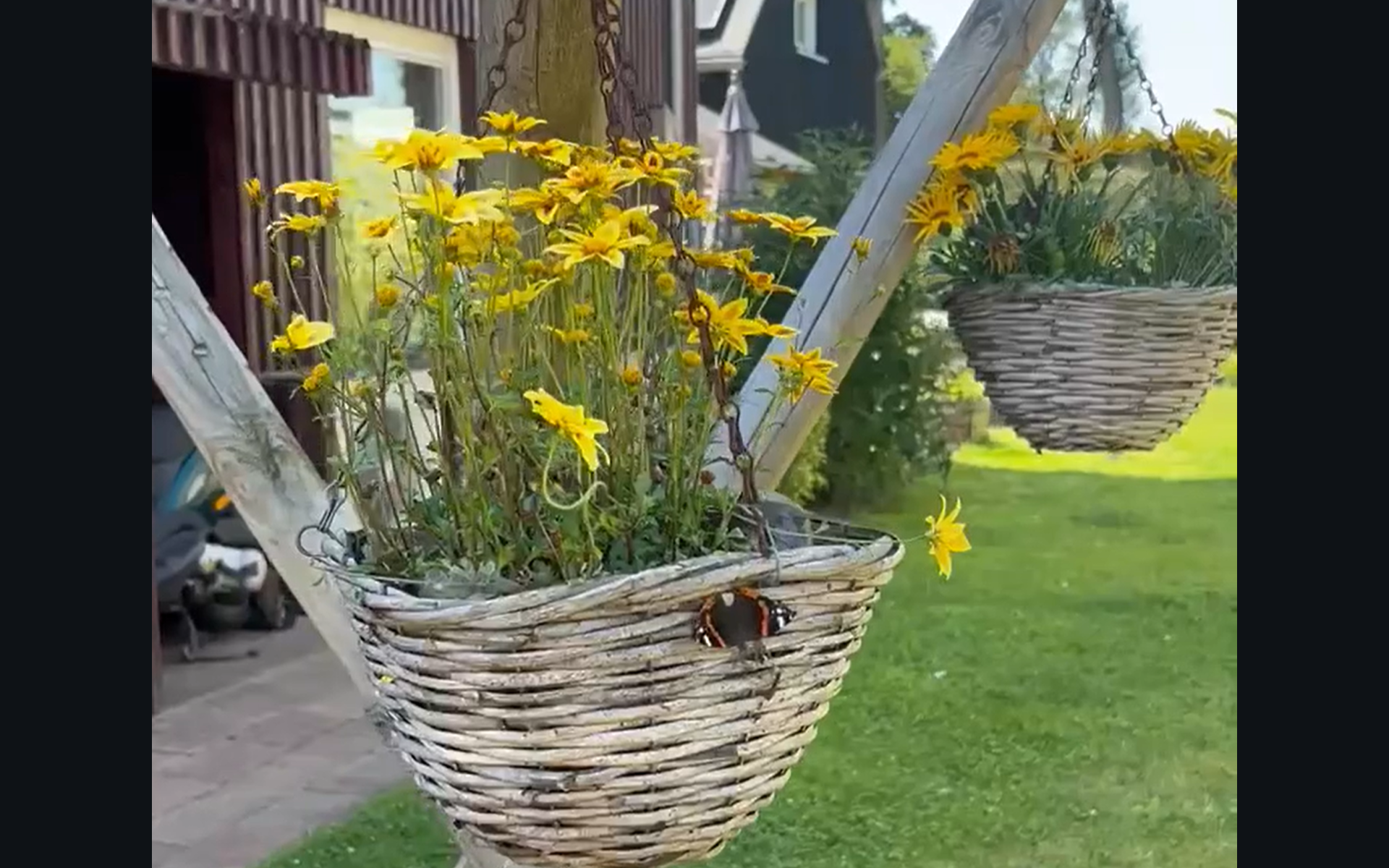 je darmen gezond is een gezond buiktuintje